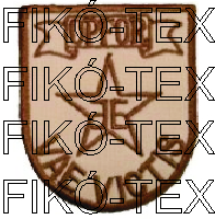 1-241 // MH Bakony Harckiképző Központ Ellenőrző század (sivatagi gyakorló)